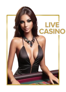 r85 website image 219 showing live casino 218x300 1
